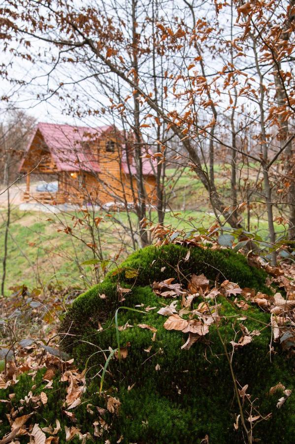 Brvnaria Slatina Varoš Exterior foto